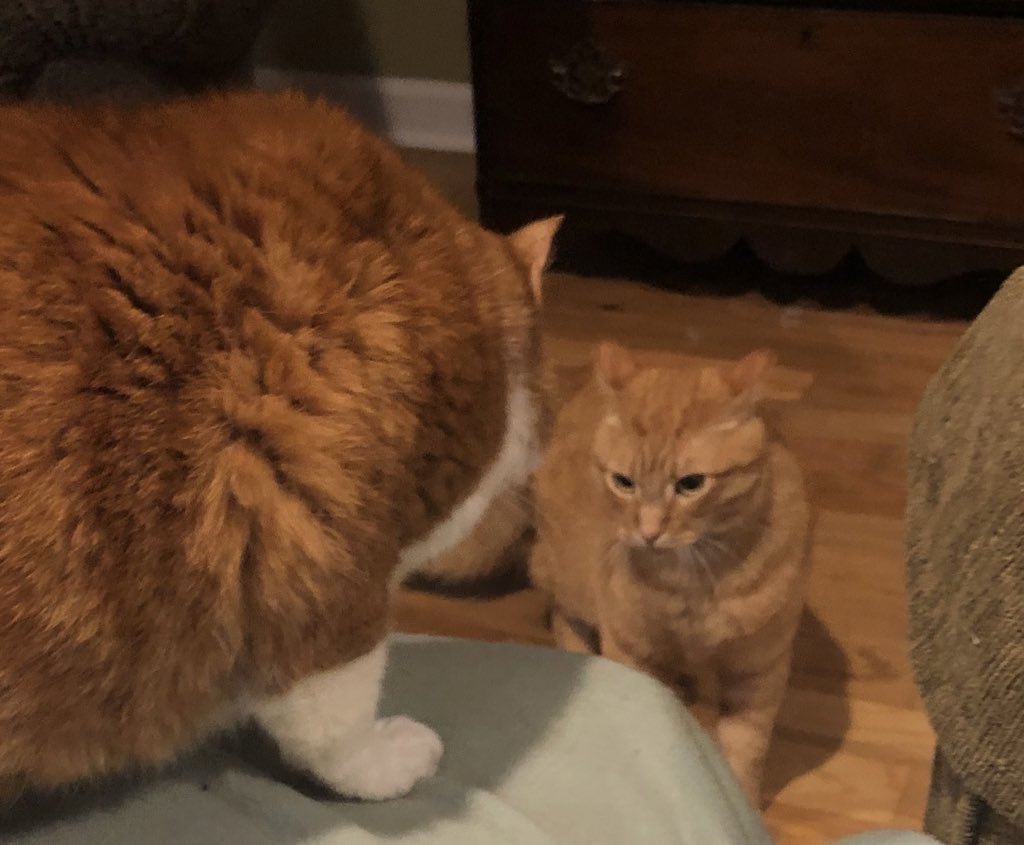 Patrick Houston tweet media