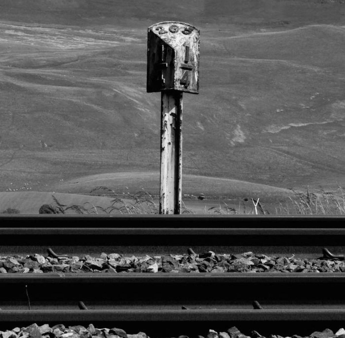 X-Ray Dex tweet media