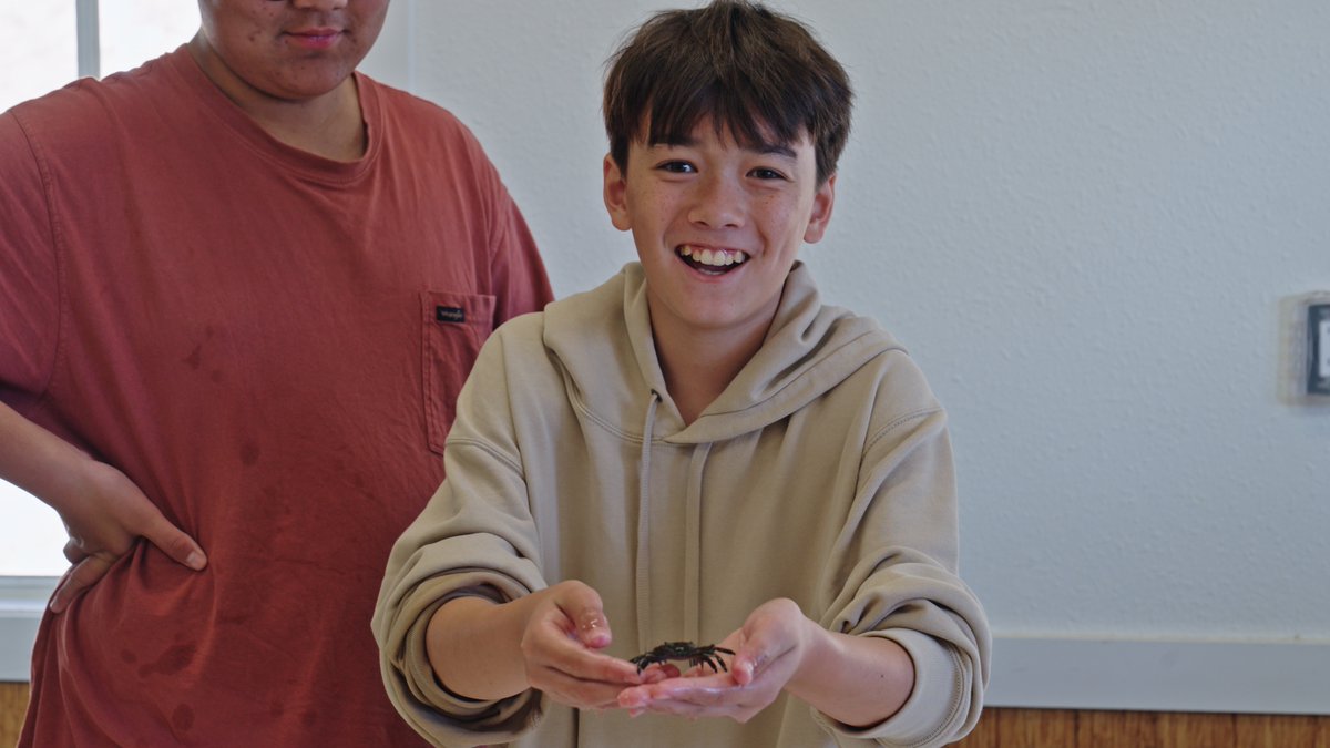 Catalina Island Marine Institute tweet media