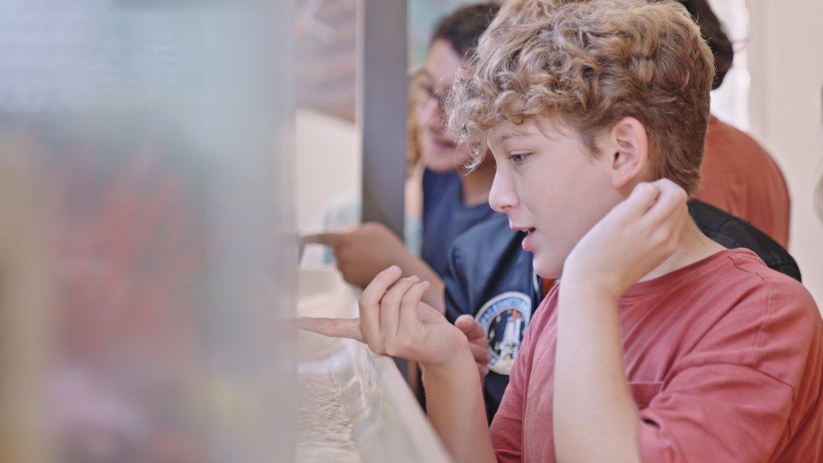 Catalina Island Marine Institute tweet media