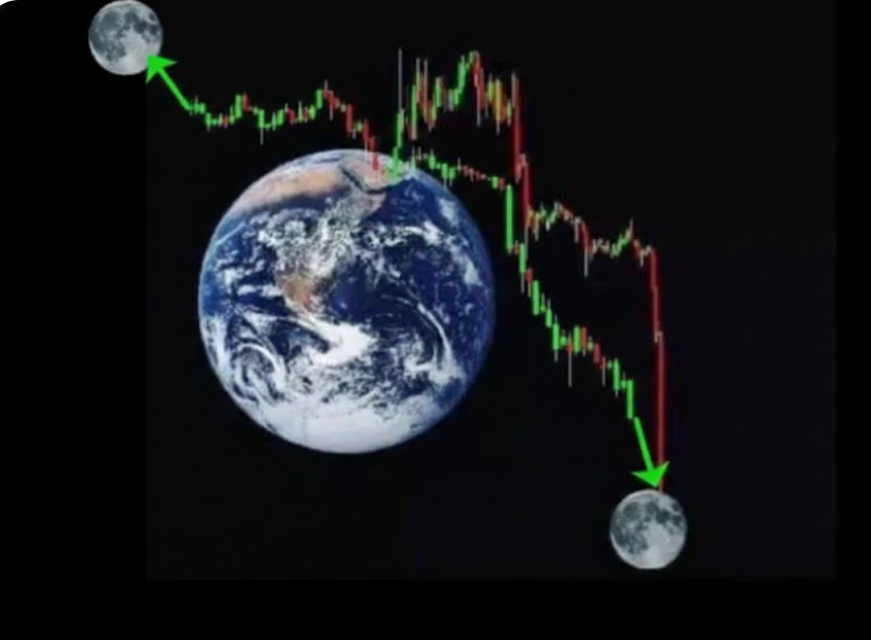 GeniusPothead 💹🧲 tweet media