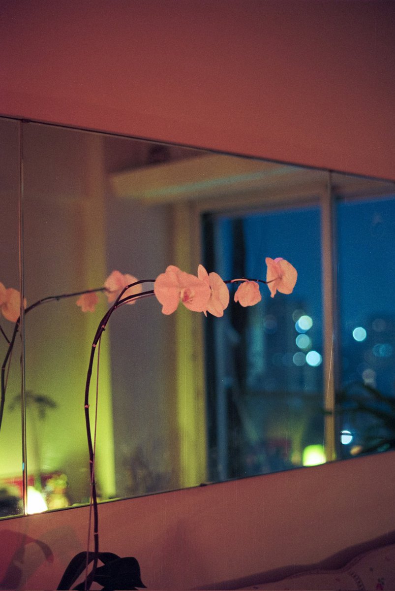 suffer_rosa's tweet photo. mi casa
35mm https://t.co/3zg1KbYT1H