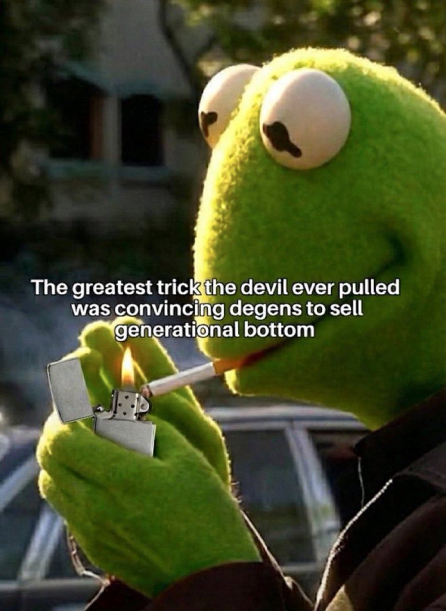 Bradley (🐸) tweet media