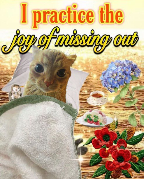 gakstercat's tweet image. 