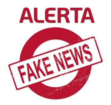 Sonia Passos tweet media