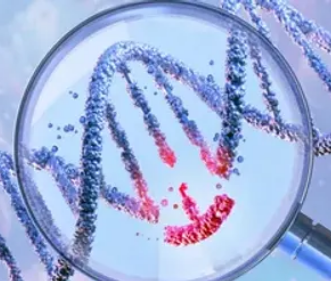 Rosa for QSP tweet media