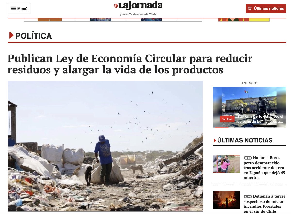 José Mario tweet media