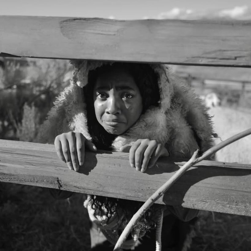 percabeththink's tweet image. seaweed brain &amp;amp; wise girl