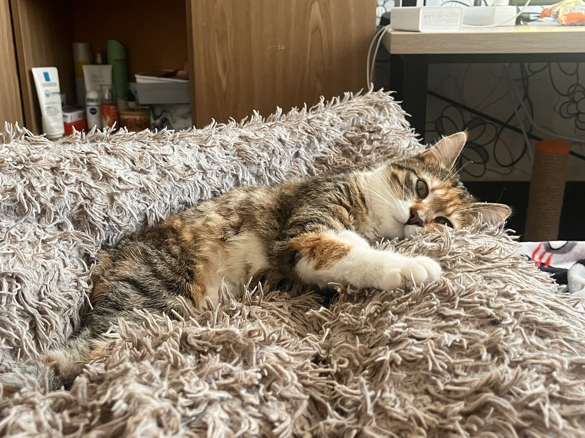 кнопочка грустіт, бо ця баночка досі не закрита :(

🫙: send.monobank.ua/jar/5Bp6ZpHHWA