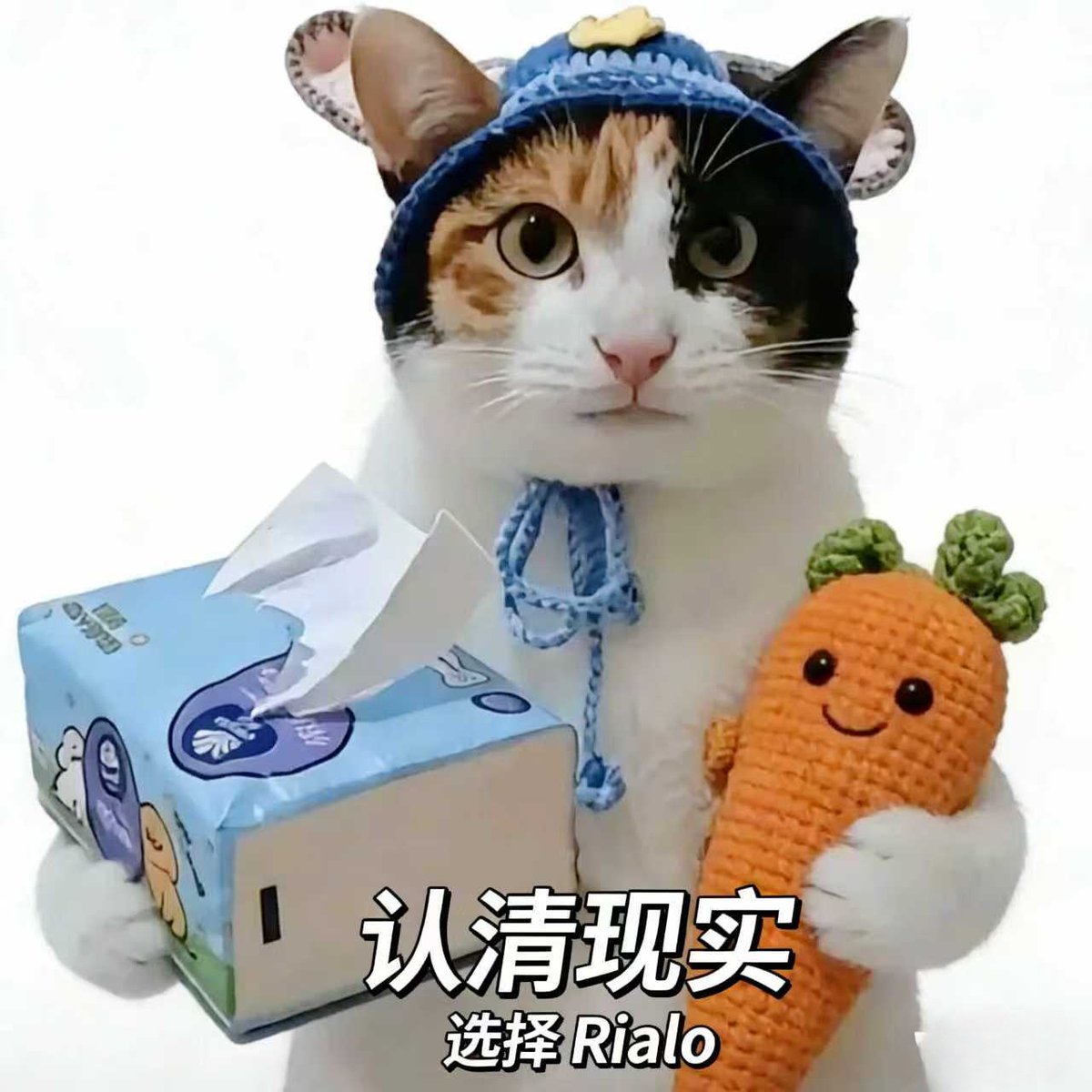 当前 DeFi 的最大痛点，就是「超额抵押」

现实场景：
你非常看好 Binance Launchpool 一个优质新项目，需要 staking 5个 BNB（约 5000 美元）才能拿到可观的新币分配，预计收益翻倍。

但你手里只有 6000 USDT，没有足够 BNB。

你决定借 BNB 参与：