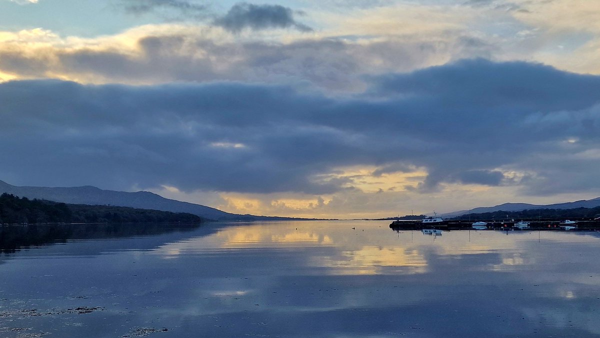 Gary Stack tweet media