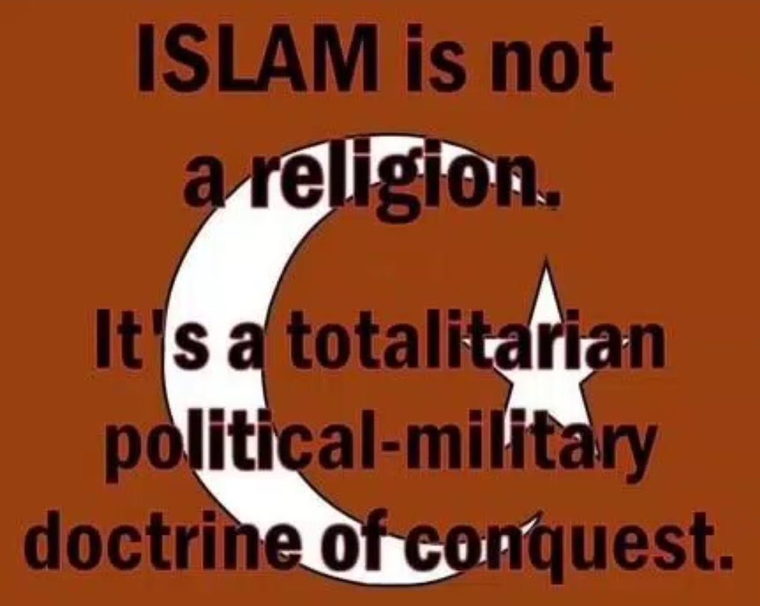 acathleen5's tweet image. 