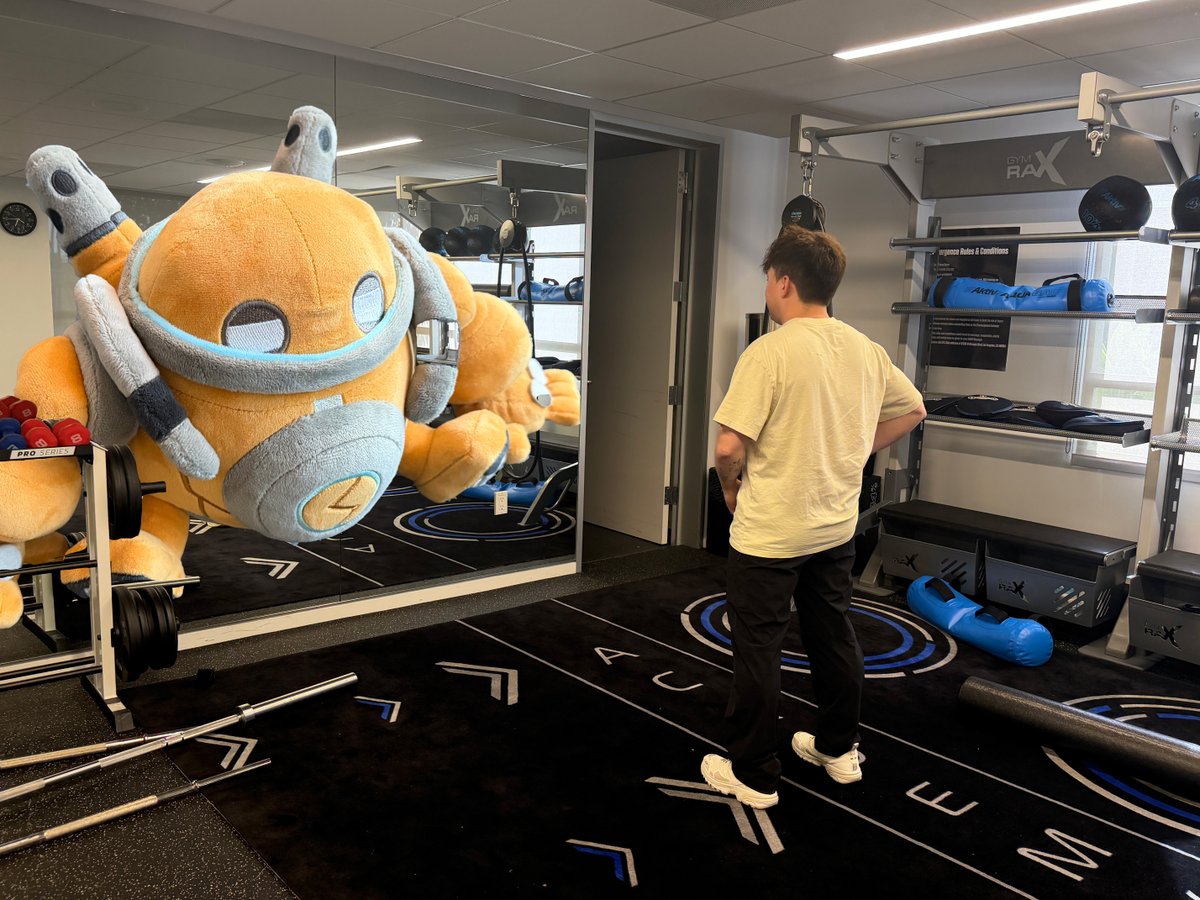 visualizing the kind of 2xko player i want to become

(blitz plushie here: riot.com/3NvtQ0O)