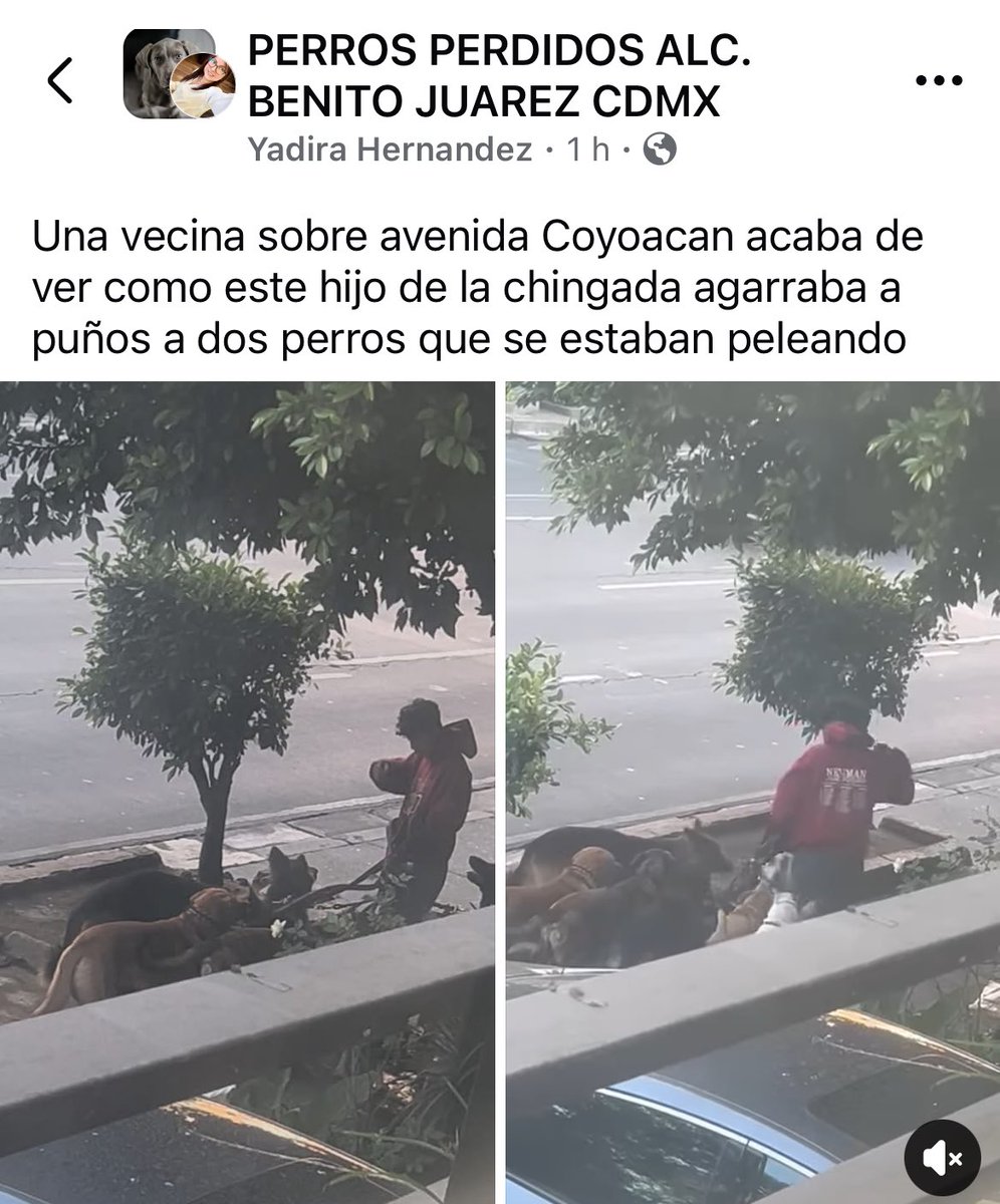 FragaOsTos tweet media