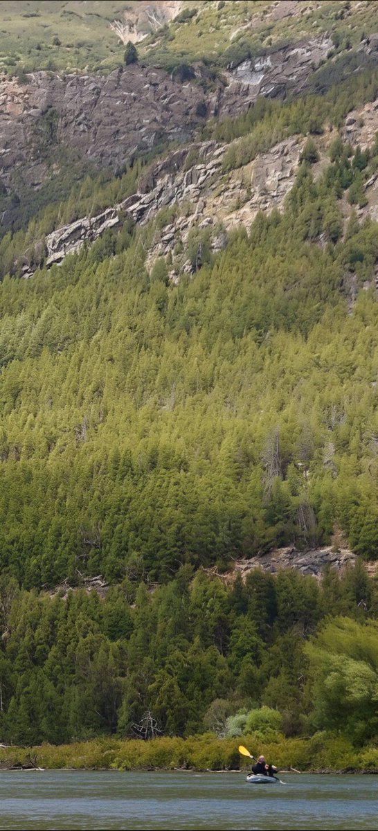 Pablo Motto tweet media