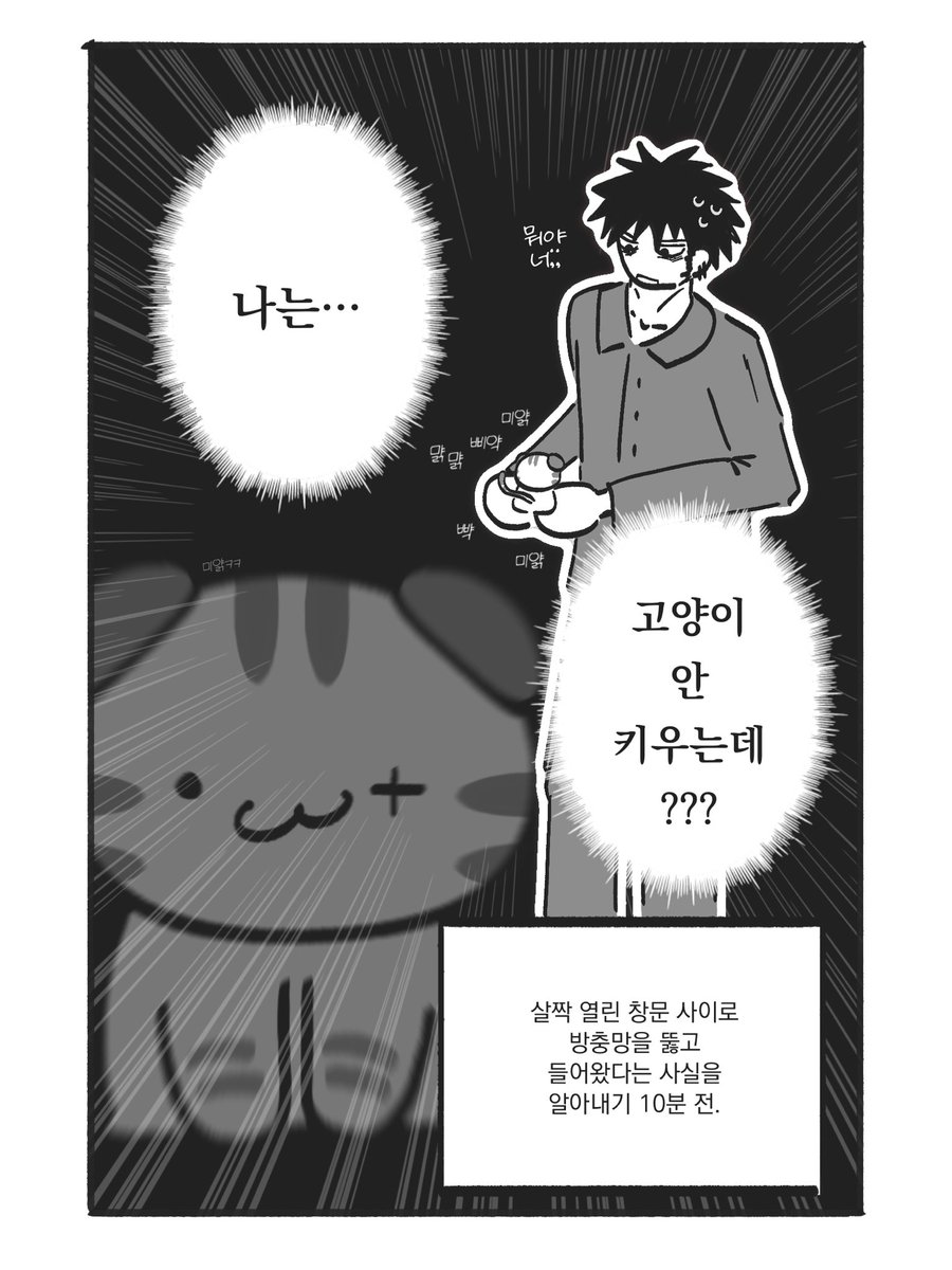 얼렁뚱땅 집사일기가 보고싶다고요