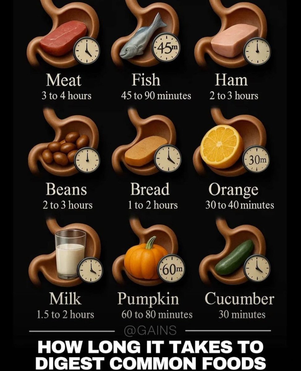 center_getfit's tweet photo. HOW LONG IT TAKES TO DIGEST COMMON FOODS ⏰️ https://t.co/0GfPs4lyTj