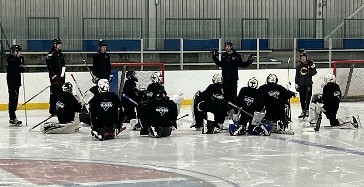 World Pro Goaltending tweet media