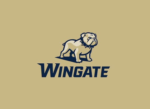 Blessed to receive and offer from <a href="/CoachUlassin/">Nick Ulassin</a> <a href="/WingateFb/">Wingate Bulldogs Football</a>