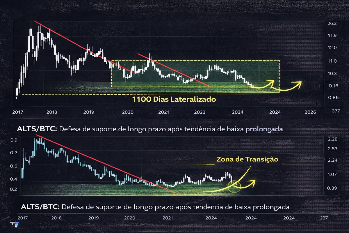 Vinicius Velasque tweet media
