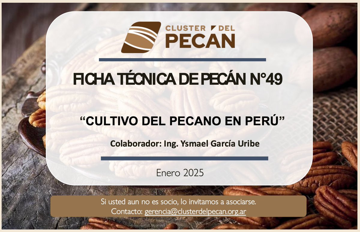 Ya salió la FTP Nº49. El Ing Ysmael García cuenta sobre el presente y futuro del pecán en 🇵🇪. Analiza sus condiciones climáticas únicas, las ppales regiones productoras, desafíos sanitarios y el rol de la organización público-privada p/impulsar la expo 👉 clusterdelpecan.org.ar