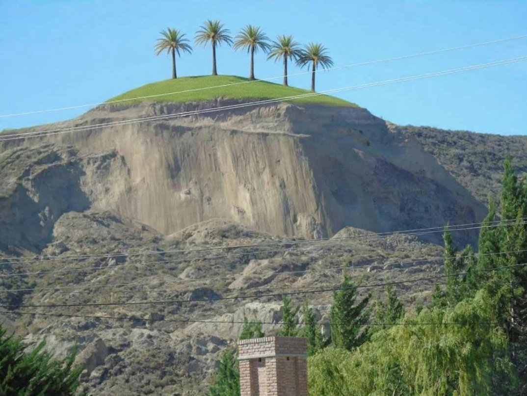 implacableCR2's tweet image. ✌🏿🌴

Dice Palmerita Luque que al Hermitte se le puede poner césped sintético y unas palmeras arriba y listo, problema solucionado.