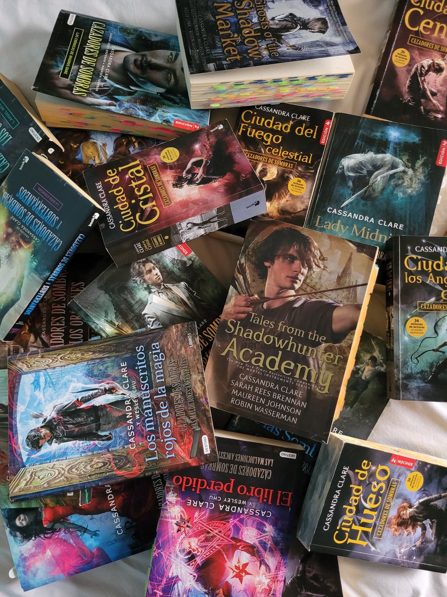 MariaA_Arroyo's tweet image. Si van a volver los 2016, que vuelvan los valores tradicionales y todos estemos leyendo cazadores de sombras