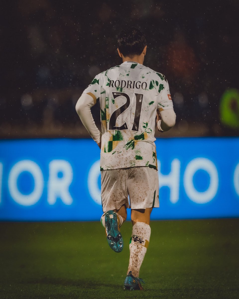Rodrigo Alonso tweet media