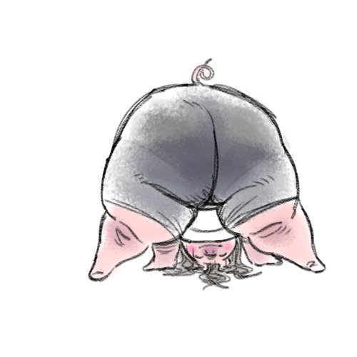 Jizzedupmangoes 🔞 tweet media