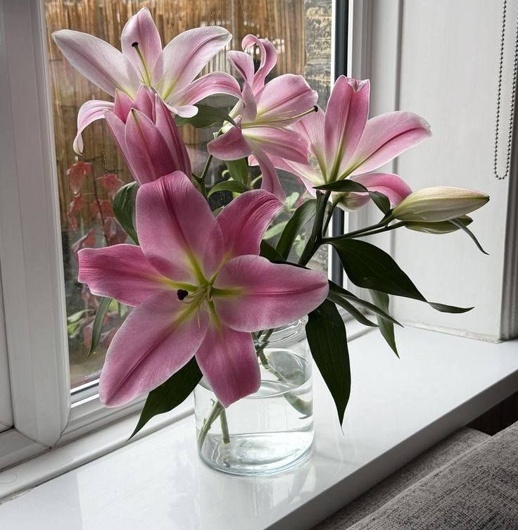 𝗟𝗲𝗲𝗻 (@1leio) on Twitter photo 