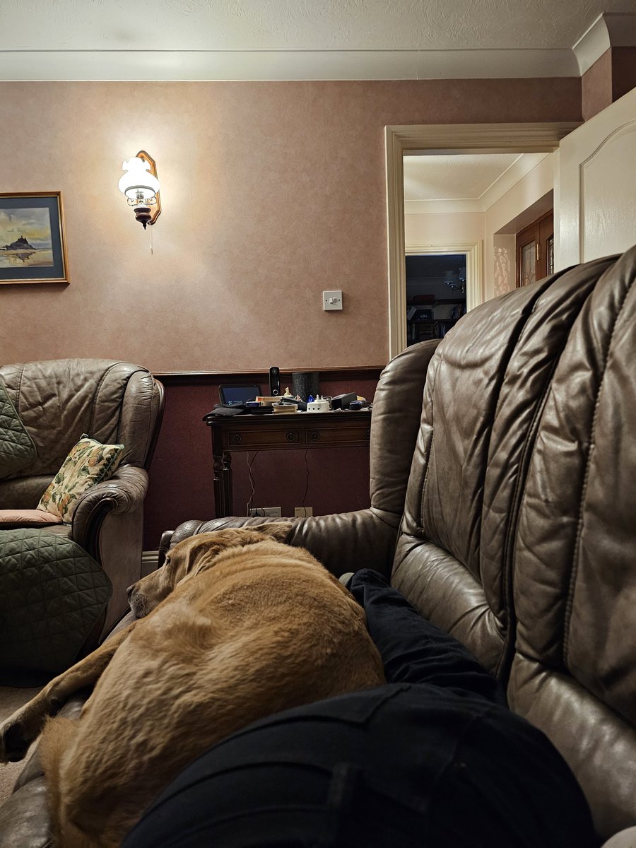 JakFire's tweet image. I lie on the sofa for 2 seconds and someone decides that my legs are the perfect place to snuggle into. Typical