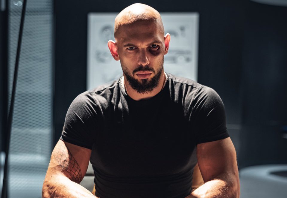 clip 🛸 tweet media