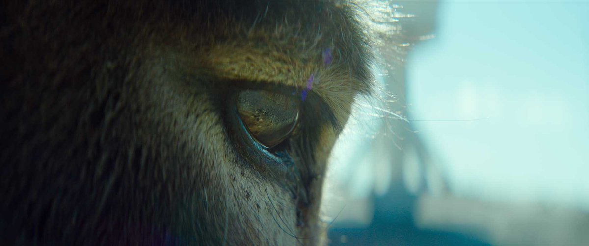 Plein(s) Écran(s) débute aujourd'hui avec la présentation de Perfectly a Strangeness, en nomination aux Oscars®

ctvm.info/pleins-ecrans-…