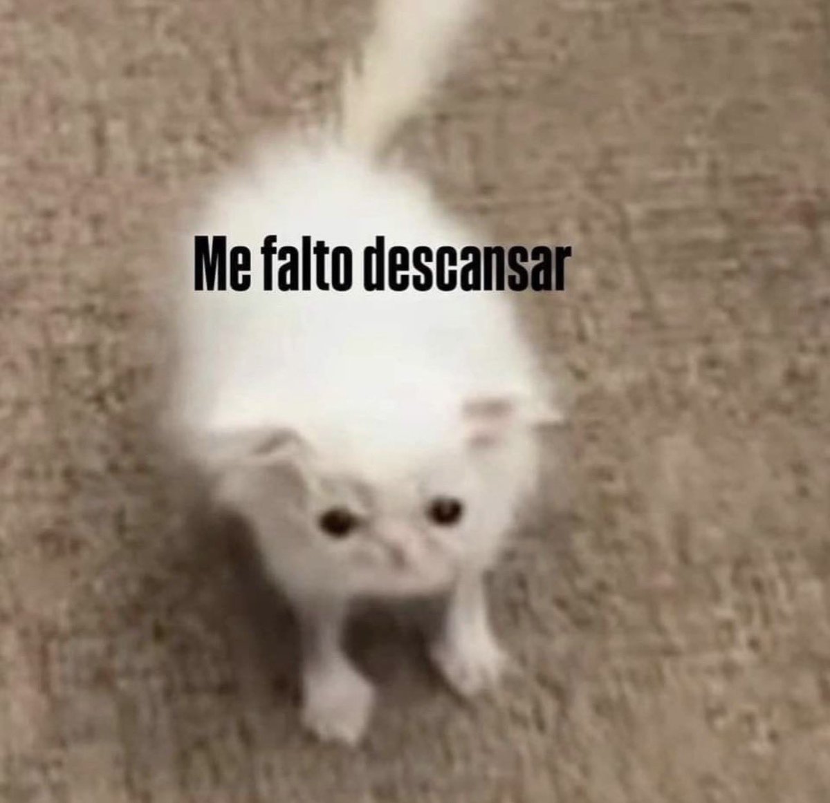 ananvroid's tweet image. if life is unfair to everyone won't that make it fair