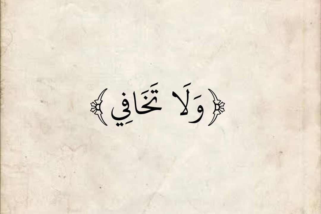 AlMosahf's tweet photo. https://t.co/A5bK6edyh8