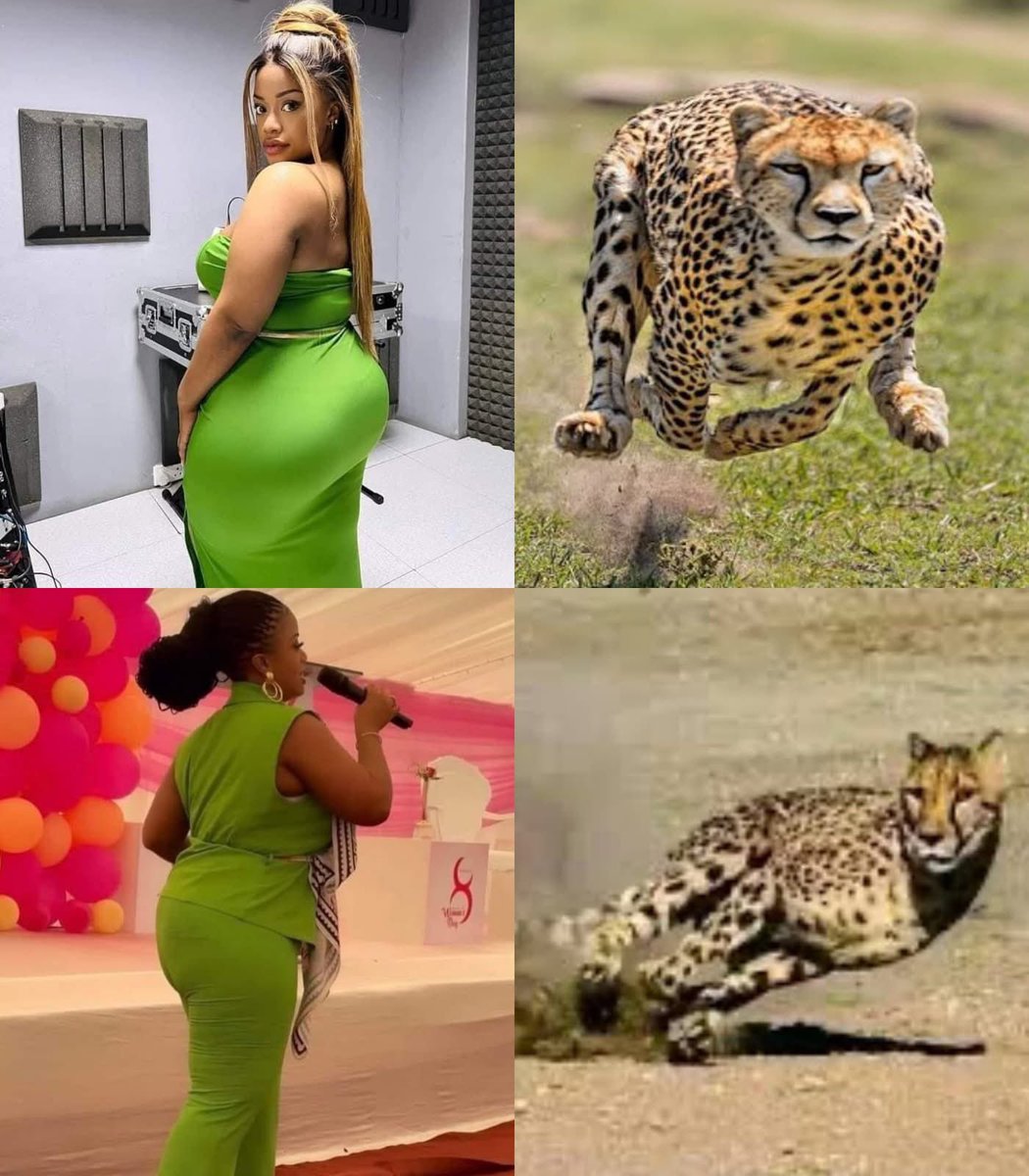 SophieSophy8's tweet image. Almost😣