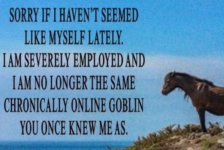 seeing your favorite poster fall off