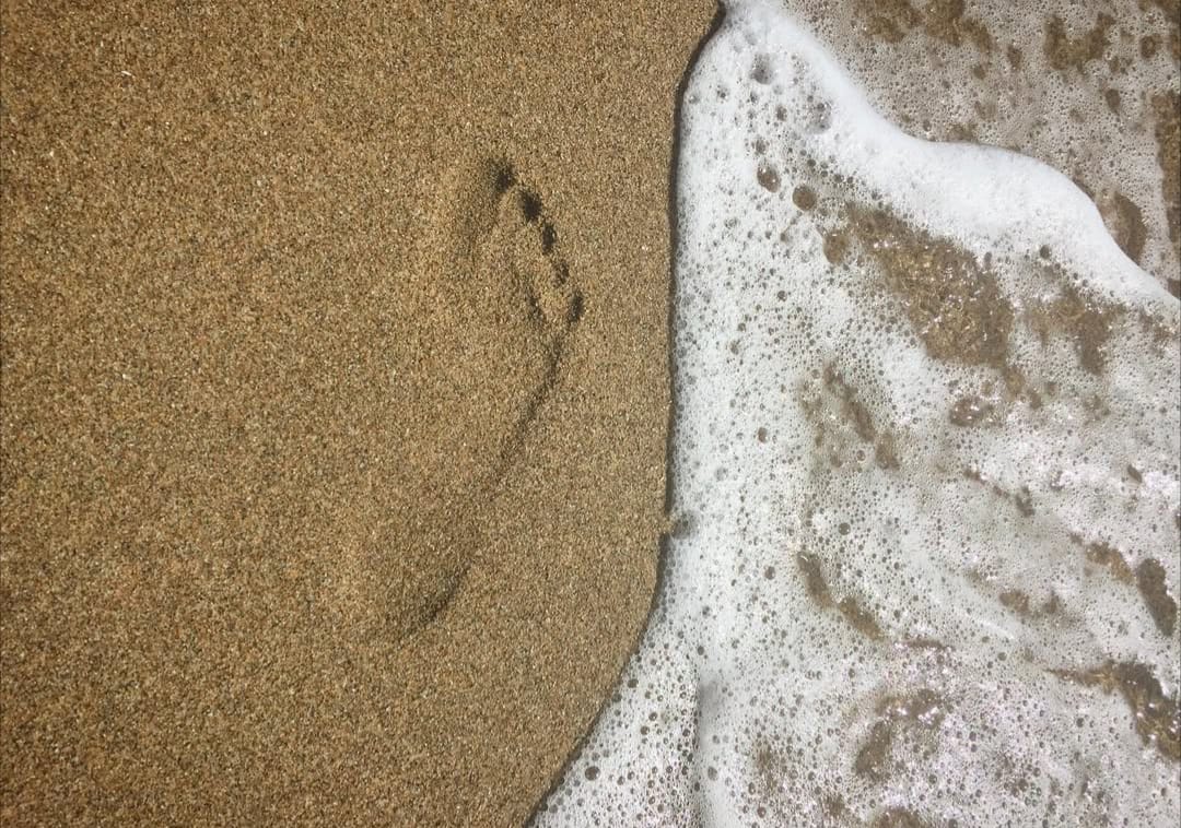 Teresa Mateu tweet media