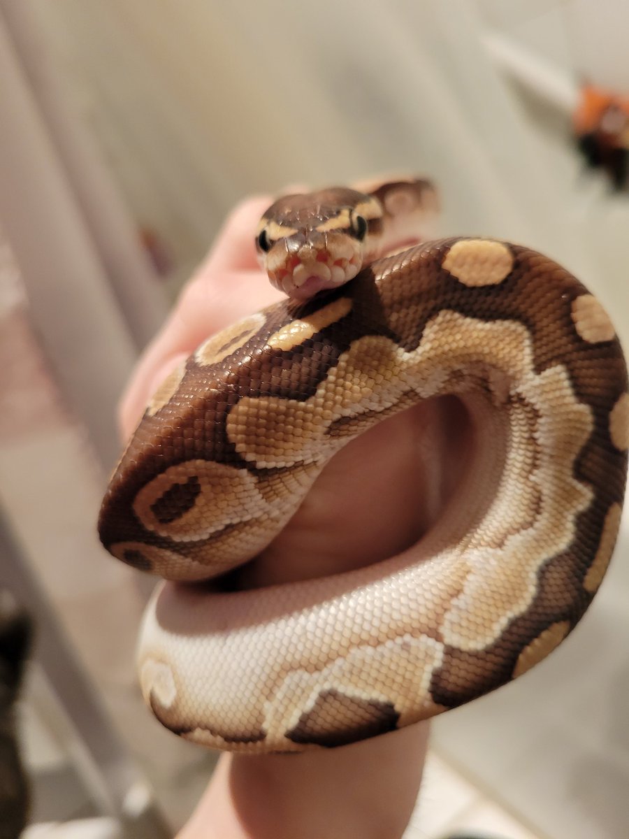 SOUNDBBABE💎 tweet media