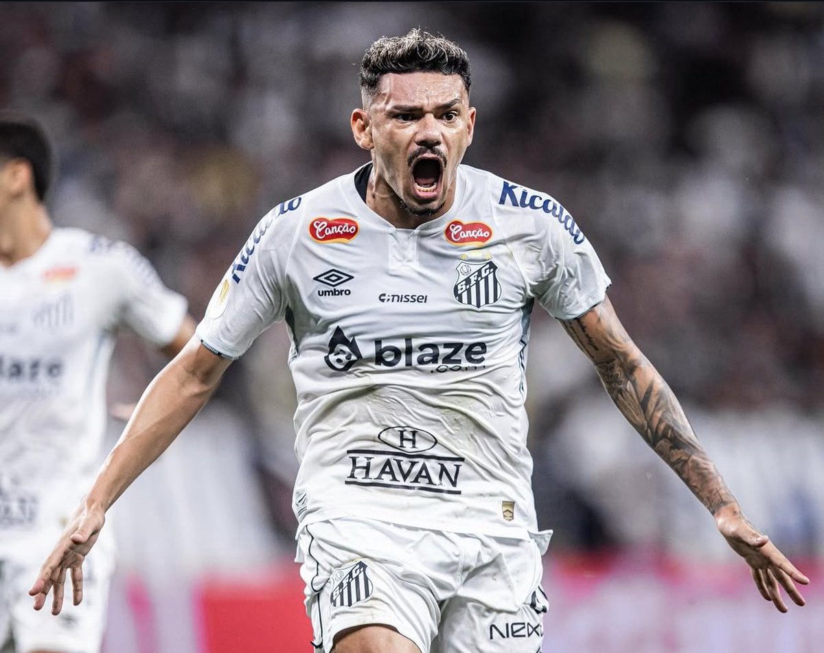 Rogerio Scarione tweet media