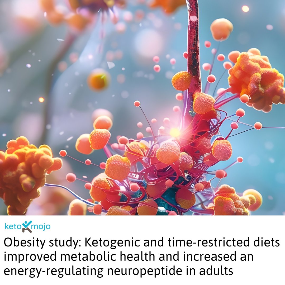 Keto-Mojo tweet media
