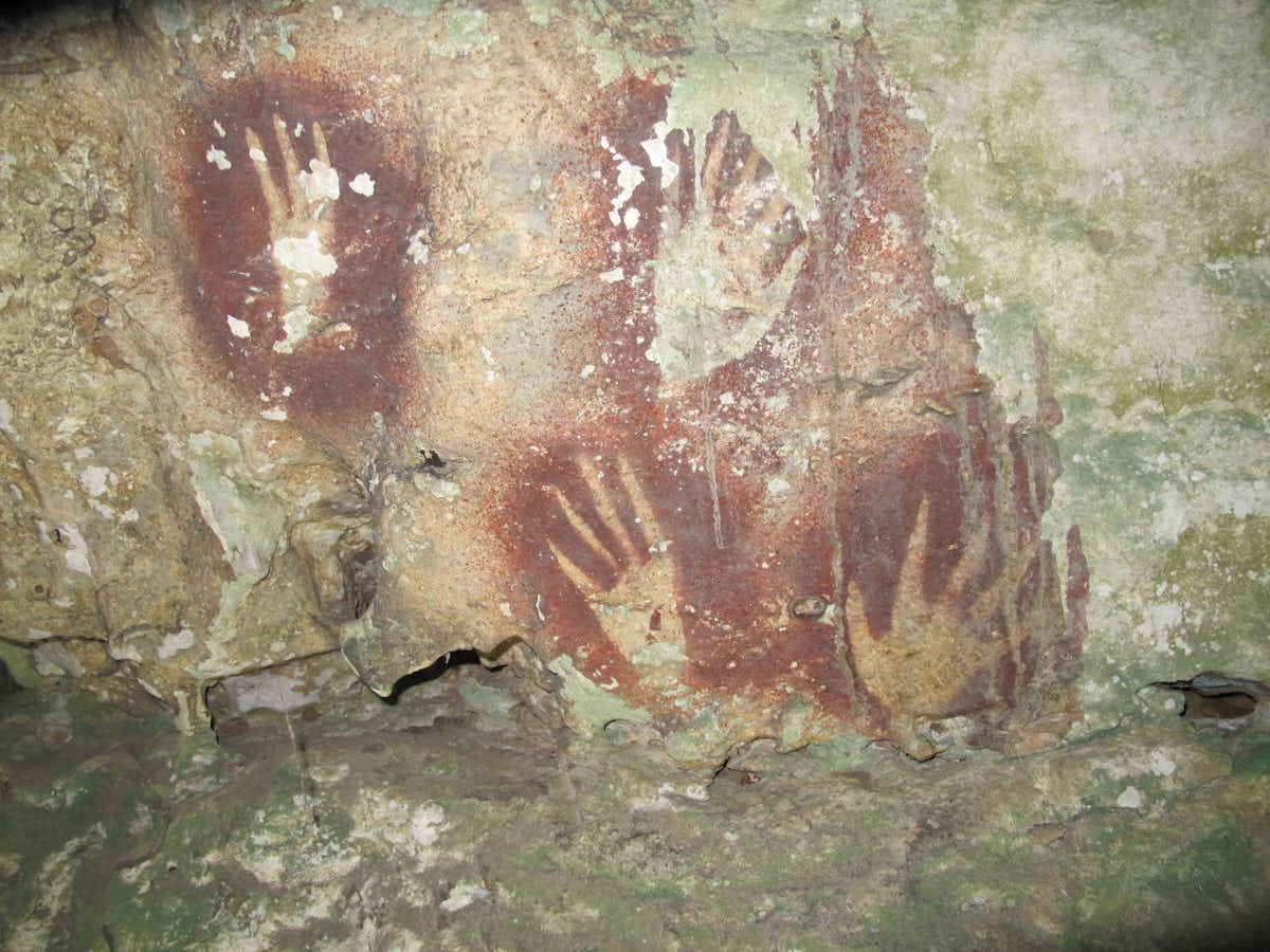 GlobalUpdates24's tweet image. BREAKING –

World's oldest cave art has been discovered in Indonesia 

Archeologists say it could be up to 67,800 years old