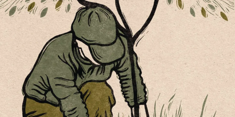 DanielleSWR's tweet image. 'Instant' gardens are still in high demand, says designer Miria Harris, but if we want to build a sustainable future, it’s time to embrace slowing down. tinybfs.com/t/acfwAr