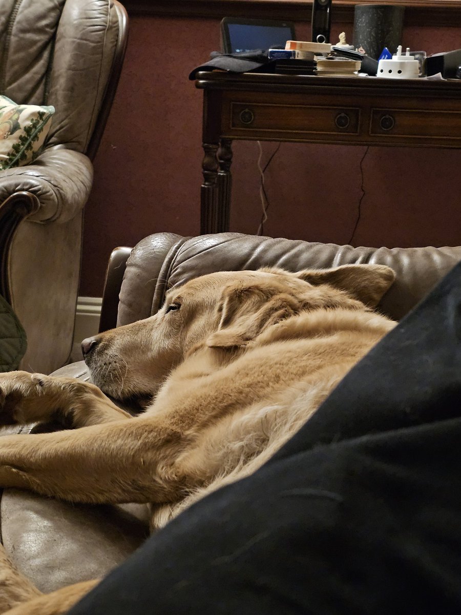 JakFire's tweet image. Update: I moved. She did not