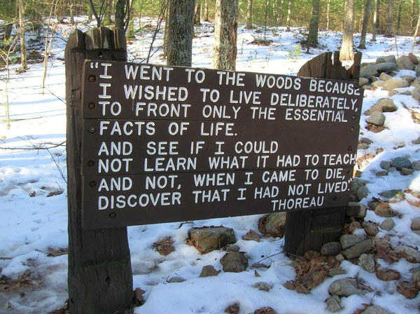 singularissimo's tweet image. 