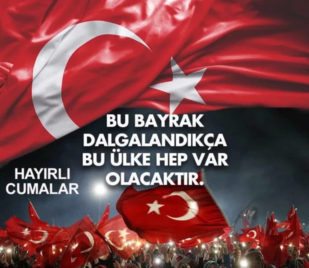 A. Kemal (@alikemalaltan) on Twitter photo 