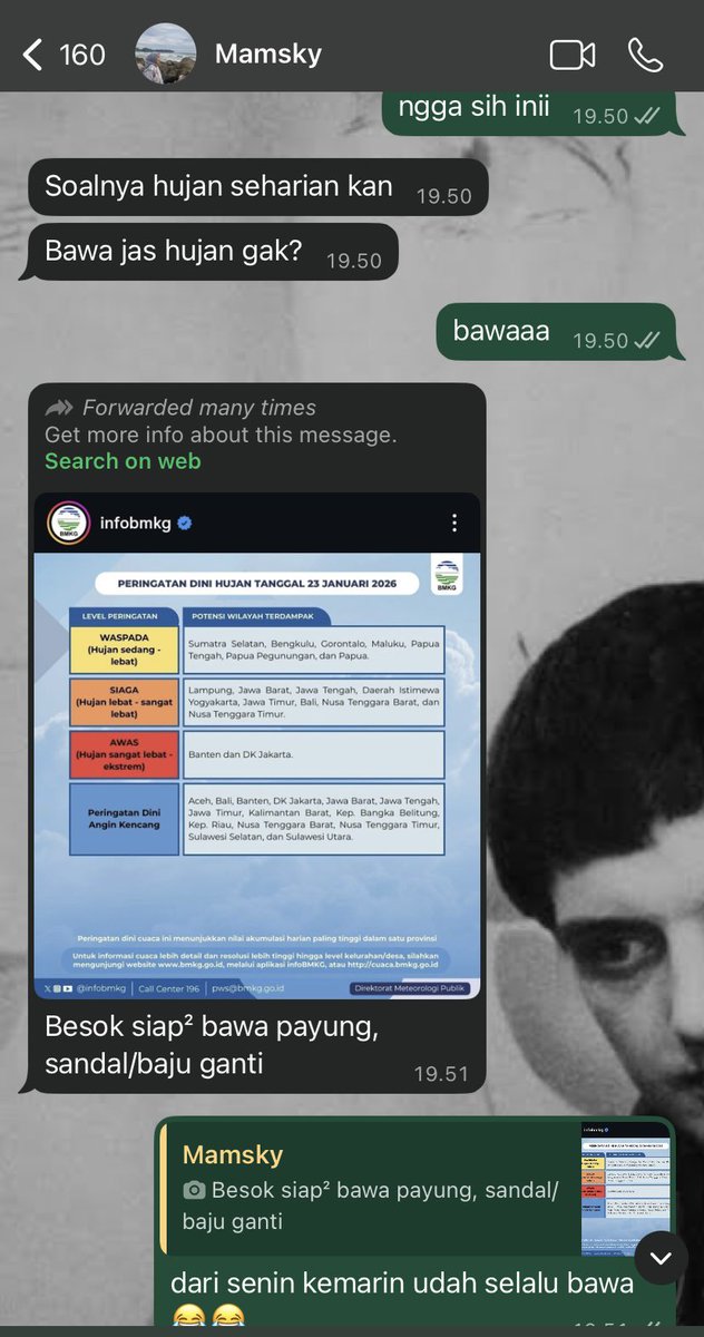 nitrazepám tweet media