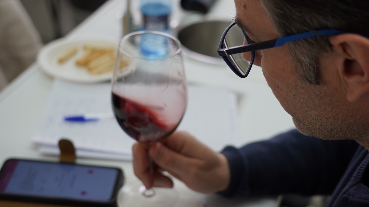 🏅 Vuelven los Premios a la Calidad de los #VinosDeLaMancha
La DO <a href="/vinodelamancha/">Vino DO La Mancha</a> arranca su histórico concurso y lo contamos hoy en el blog 🍷
👉 bodegasayuso.es/vuelven-los-pr…
#BodegasAyuso #DOLaMancha #VinoPremiado #CalidadManchega