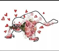 CatBread tweet media