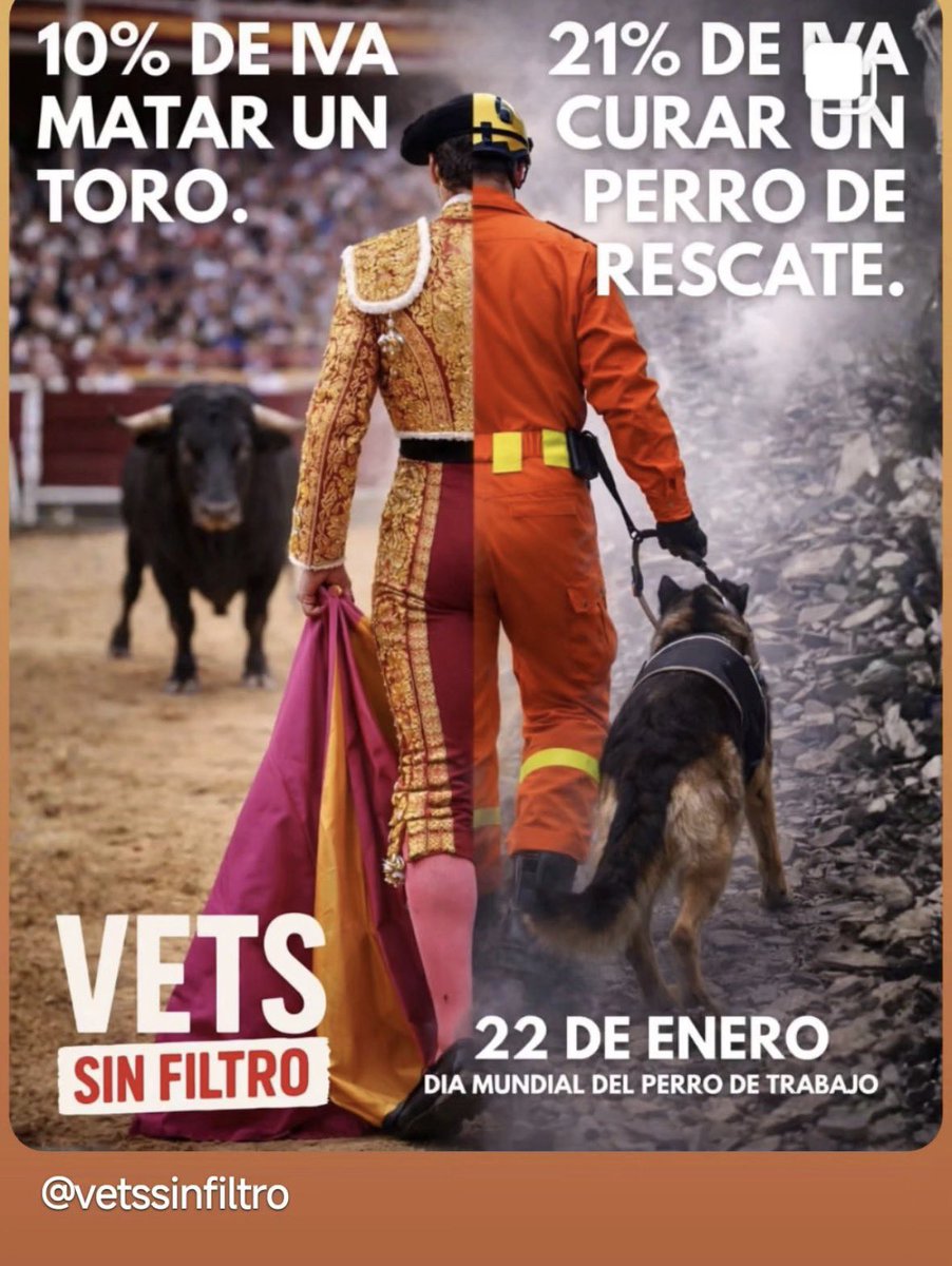 Fátima (@vetdefelinos) on Twitter photo 